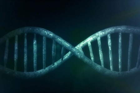 Czy po pierwszym poronieniu jest sens wykonywać badania genetyczne? Czy po pierwszym poronieniu jest sens wykonywać badania genetyczne?