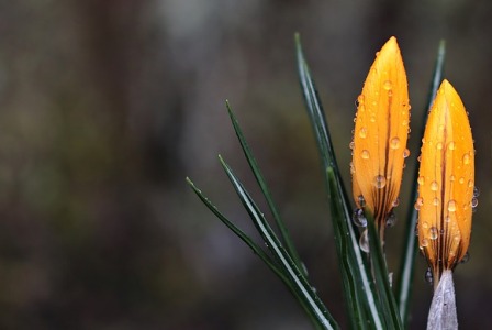 strata dziecka w późnej ciąży